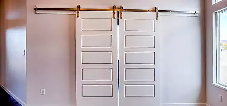 Glass Barn Door with Installation Hardware Kit Fountain Valley
