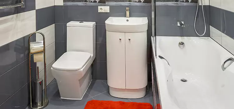 Hansgrohe Shaving Mirror Fountain Valley